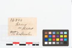 Etikett zu Perlenkette (NHMW-PRAE-026844)